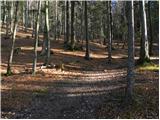 Mače - Planina Dolga njiva